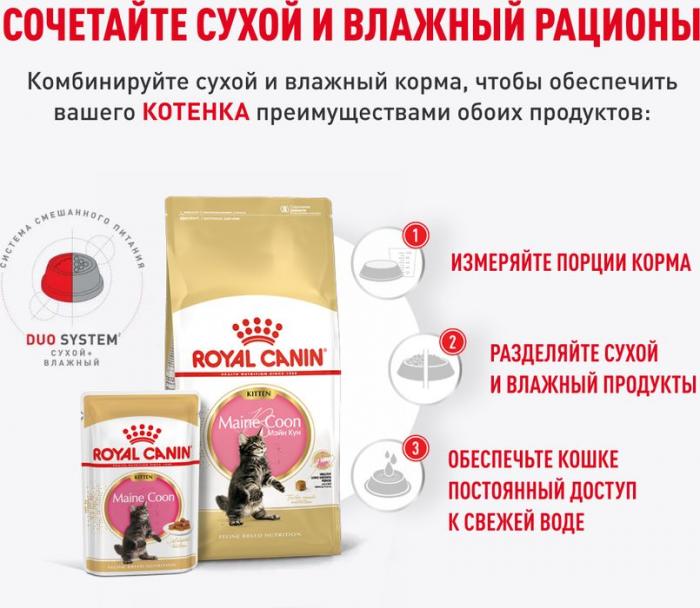 Royal Canin влажный корм для котят породы Мэйн Кун, кусочки в соусе