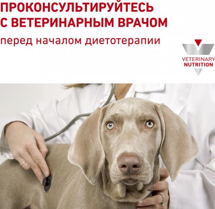 Royal Canin Recovery лечебный корм для собак и кошек в период анорексии, выздоровления