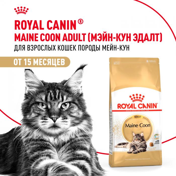 Royal Canin Maine Coon Adult сухой корм для крупных кошек породы мейн-кун