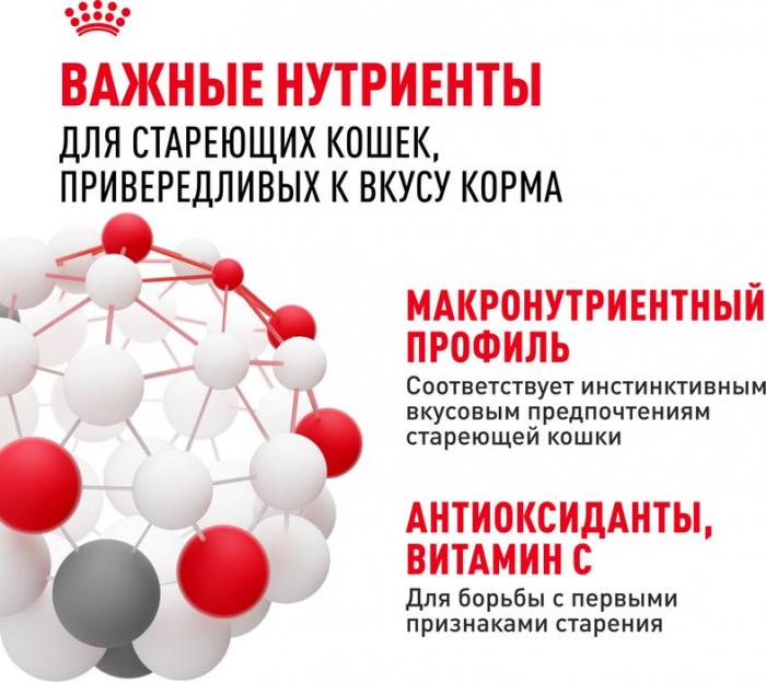 Royal Canin влажный корм для пожилых кошек всех пород, мелкие кусочки в соусе