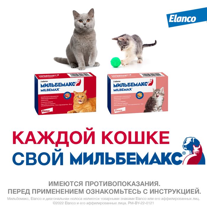 Elanco Мильбемакс таблетки для взрослых кошек, антигельминтик