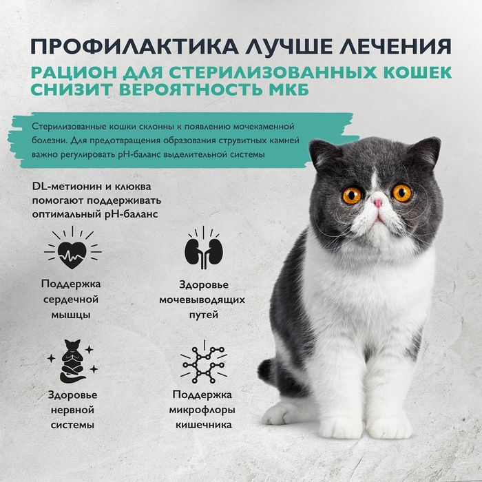 Brit Care Cat Sterilised Urinary Care корм для стерилизованных кошек, индейка с уткой