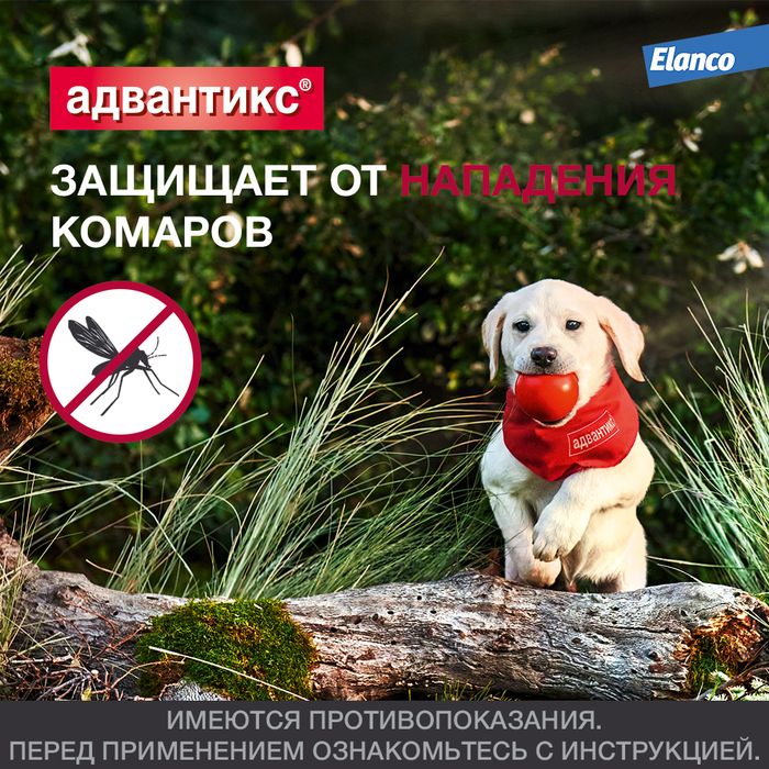 Elanco Адвантикс капли для щенков и собак 10-25 кг, от клещей, блох и комаров