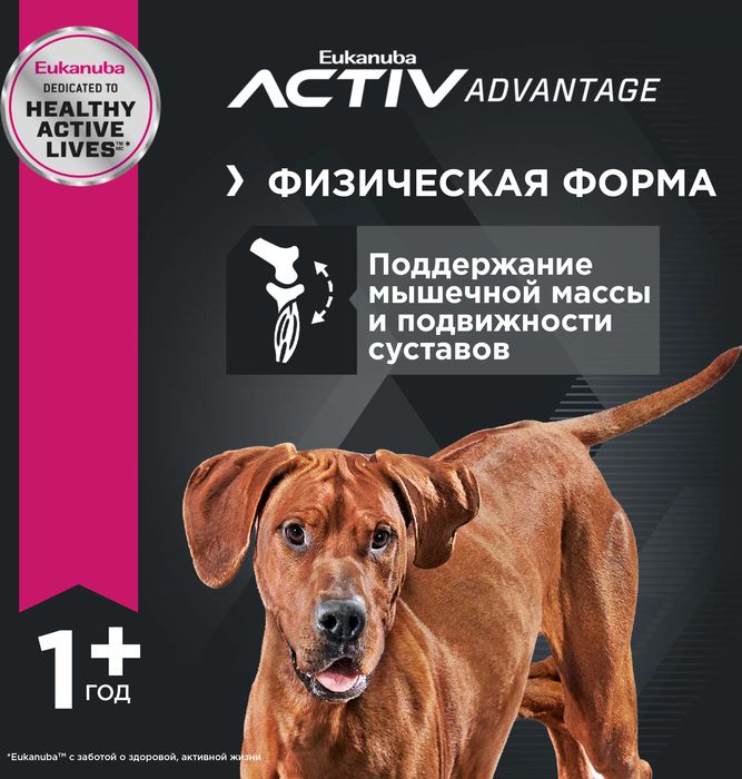 Eukanuba Adult Large Breed сухой корм для собак крупных пород с ягненком и рисом
