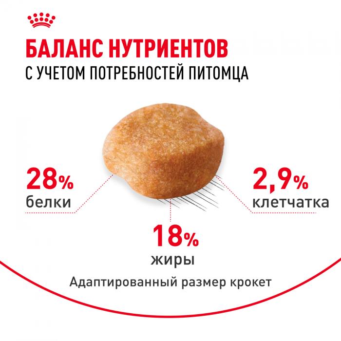 Royal Canin Yorkshire Terrier сухой корм для собак породы йоркширский терьер старше 10 месяцев