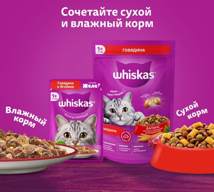 Whiskas влажный корм для взрослых кошек, желе с телятиной
