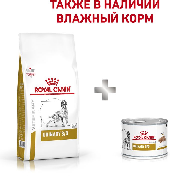 Royal Canin Urinary S/O лечебный сухой корм для собак при заболеваниях мочевыделительной системы