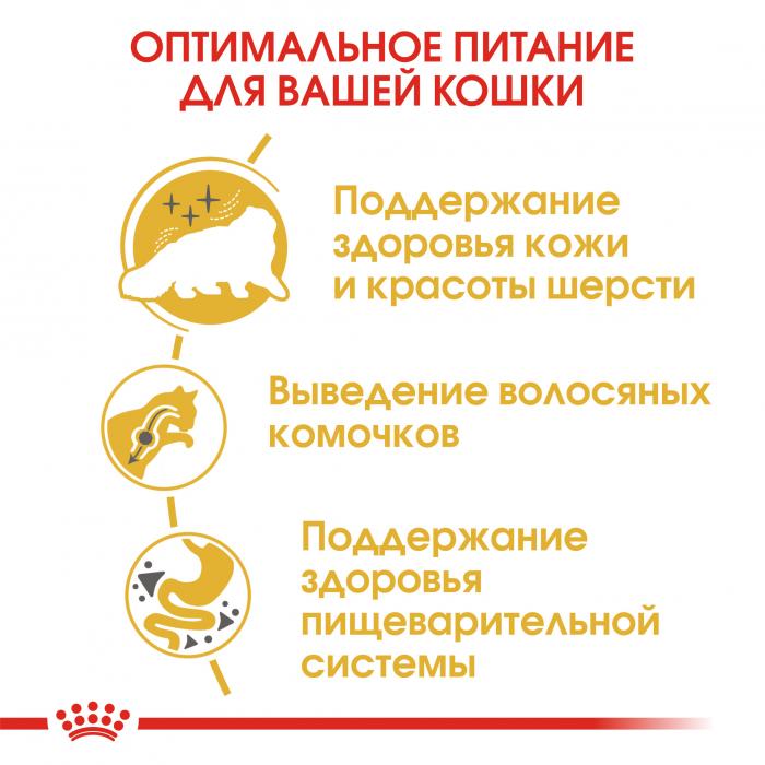 Royal Canin Persian Adult сухой корм для персидских кошек