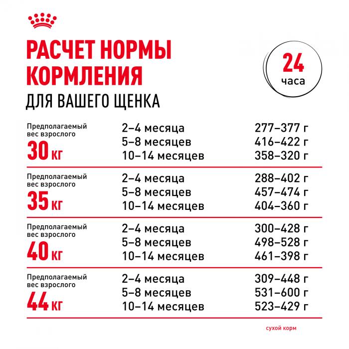 Royal Canin Maxi Puppy сухой корм для щенков крупных пород