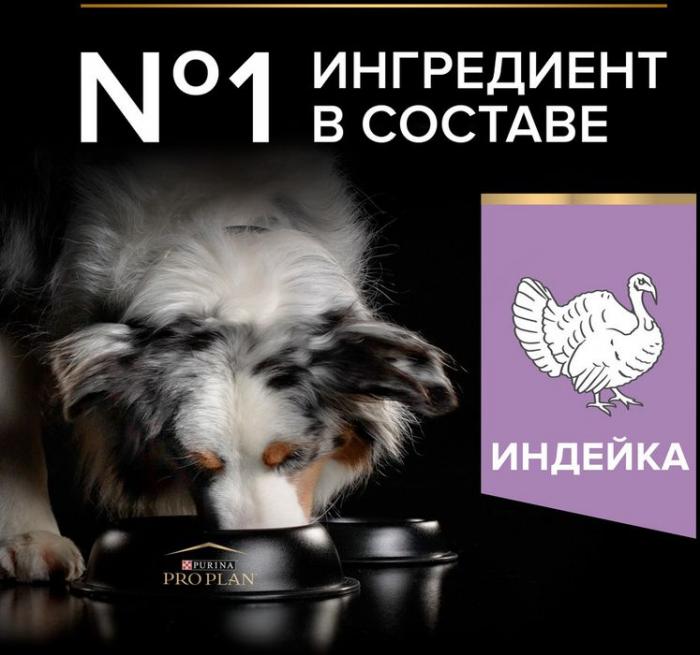 Сухой корм Pro Plan® Grain Free для взрослых собак средних и крупных пород с чувствительным пищеварением, беззерновой, с высоким содержанием индейки, Пакет