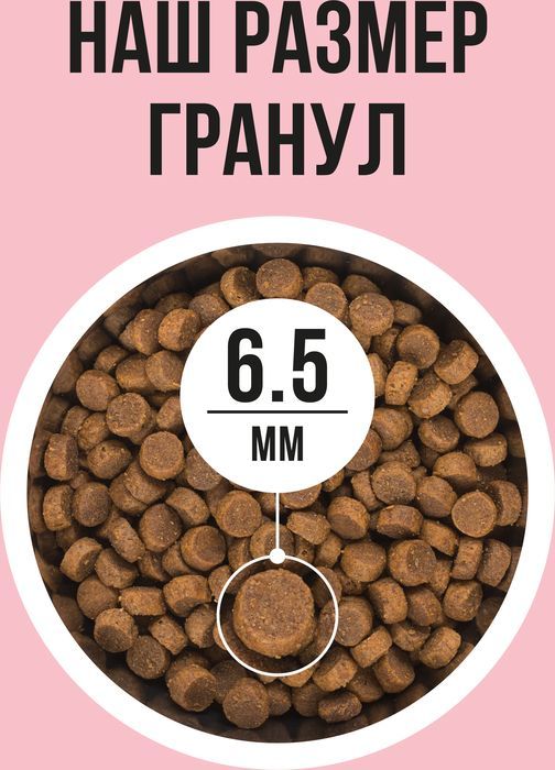 Bowl Wow корм для кошек, с индейкой, курицей и добавлением яблока