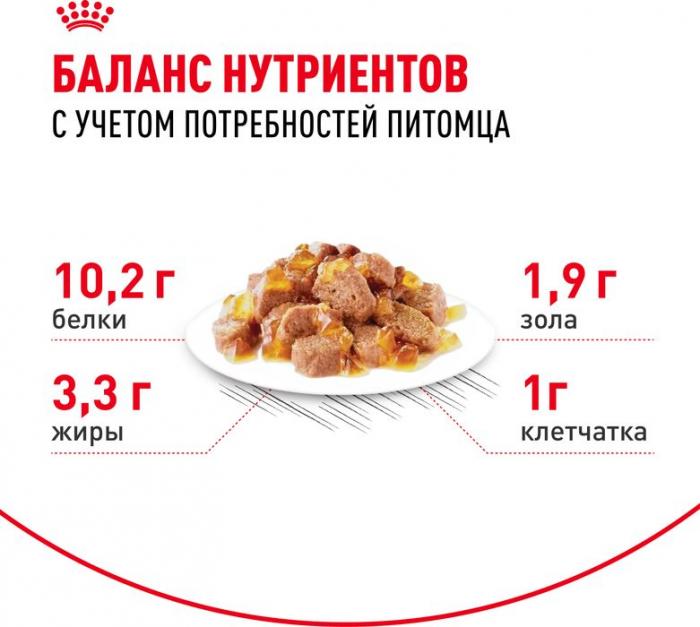 Royal Canin Indoor влажный корм для стерилизованных пожилых кошек, кусочки в желе
