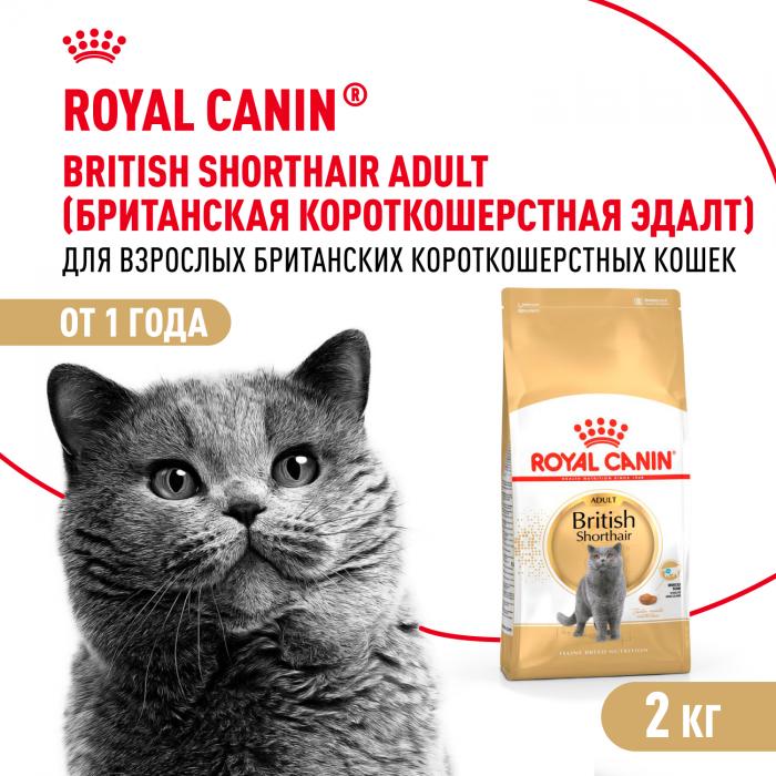 Royal Canin British Shorthair Adult сухой корм для кошек британской короткошерстной породы старше 12 месяцев