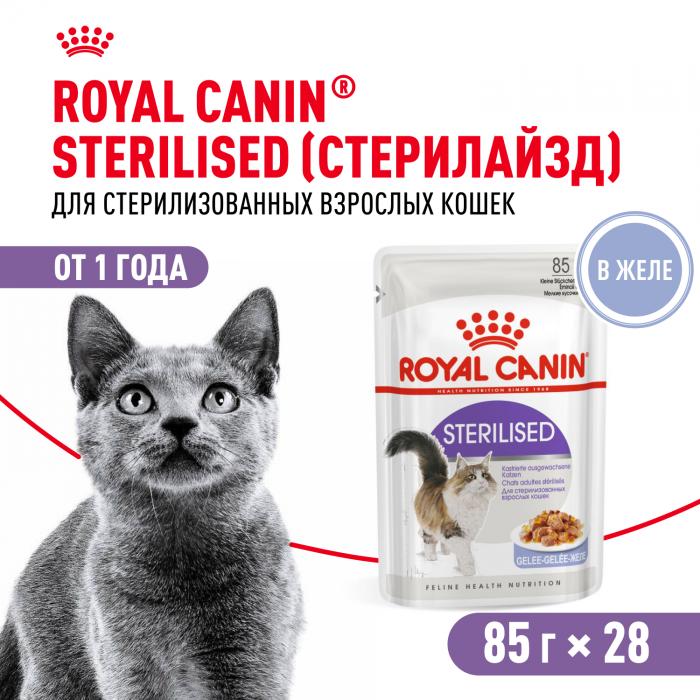 Royal Canin влажный корм для стерилизованных взрослых кошек всех пород, кусочки в желе
