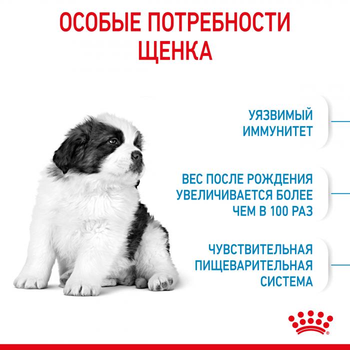 Royal Canin Giant Puppy сухой корм для щенков гигантских пород от 2 до 8 месяцев