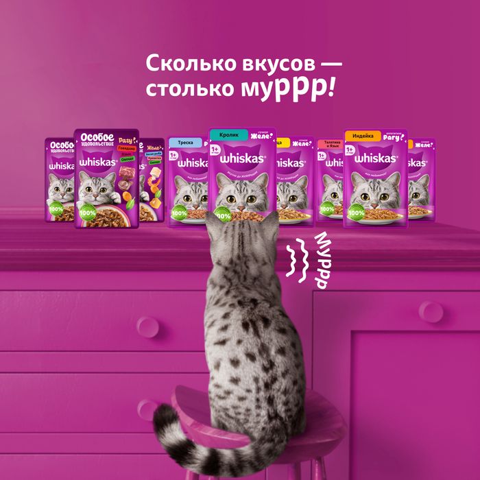 Whiskas влажный корм для взрослых кошек, желе с кроликом