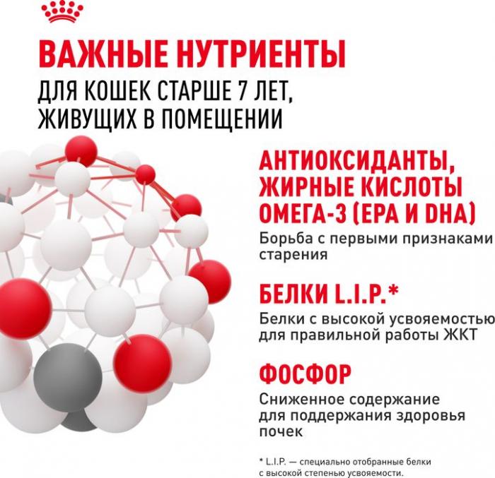 Royal Canin Indoor влажный корм для стерилизованных пожилых кошек, кусочки в желе