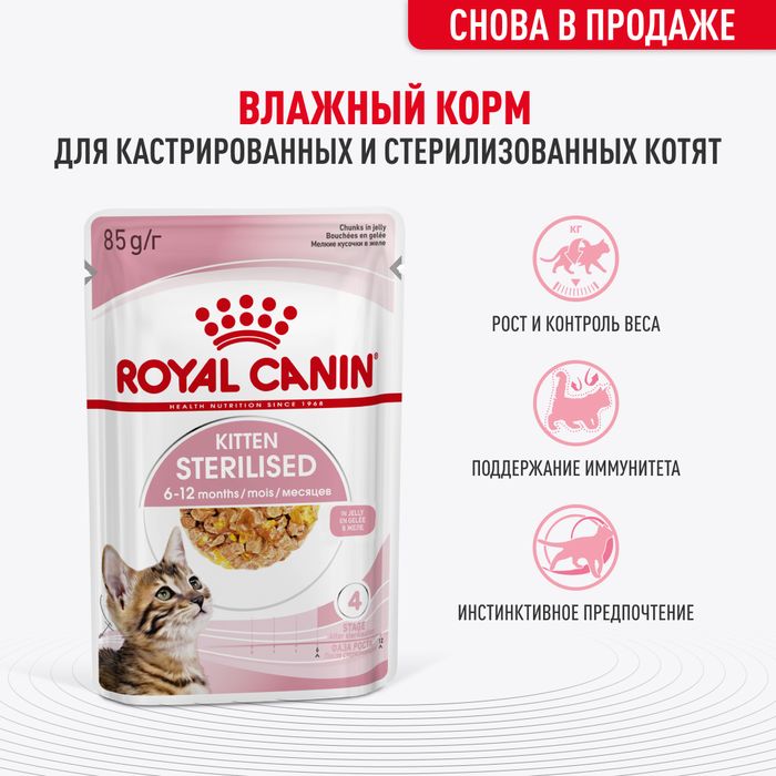 Royal Canin влажный корм для стерилизованных котят, кусочки в желе