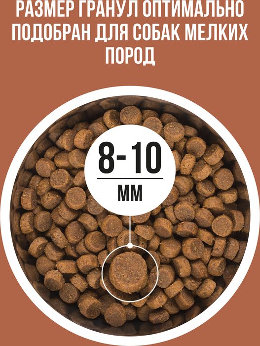 Bowl Wow корм для собак малых пород, с ягненком, индейкой, рисом и добавлением тыквы