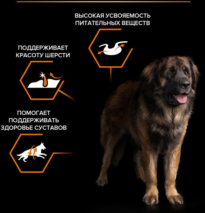 Сухой корм Pro Plan® Everyday Nutrition для взрослых собак крупных пород с мощным телосложением, с высоким содержанием курицы
