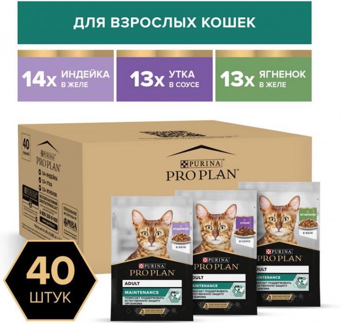 Влажный корм Pro Plan® Maintenance для взрослых кошек, с индейкой в желе, с уткой в соусе, с ягненком в желе