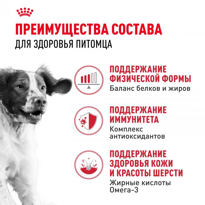 Royal Canin Medium Adult сухой корм для собак средних пород с 12 месяцев до 7 лет