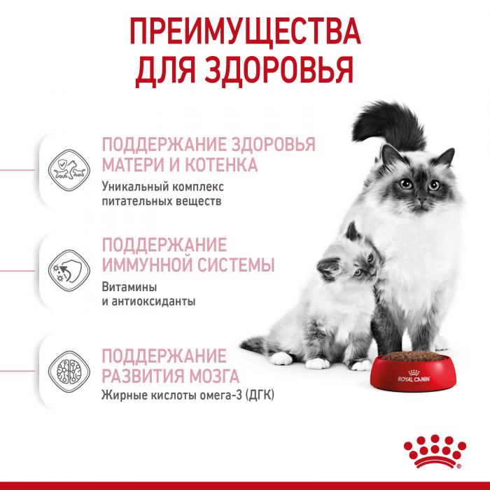 Royal Canin Kitten Mother&Baby cat сухой корм для котят и беременных кошек