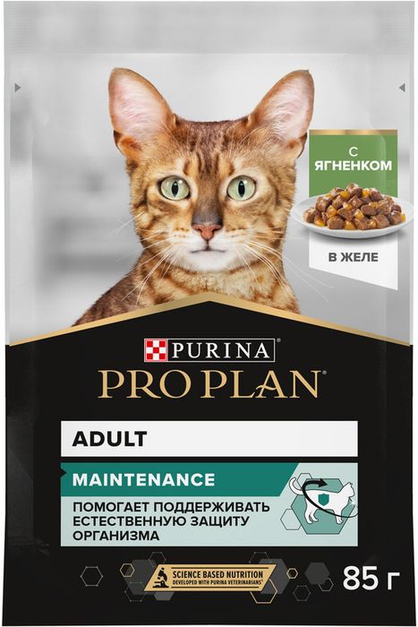 Влажный корм Pro Plan® Maintenance для взрослых кошек, с ягненком в желе