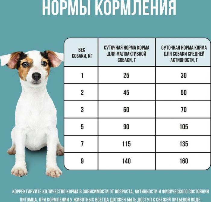 Bowl Wow корм для собак малых пород, с индейкой, рисом и добавлением розмарина
