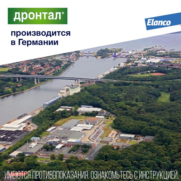 Elanco Дронтал таблетки для кошек и котят, антигельминтик