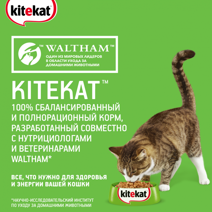Kitekat Улов рыбака сухой корм для кошек