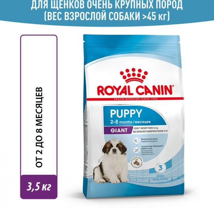 Royal Canin корм для щенков гигантских пород (с 2 до 8 месяцев)