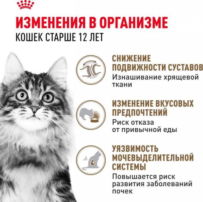 Royal Canin влажный корм для пожилых (12+) кошек, здоровье суставов, почек, мелкие кусочки в желе