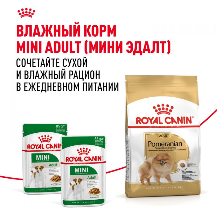 Royal Canin корм для взрослых собак породы Померанский Шпиц