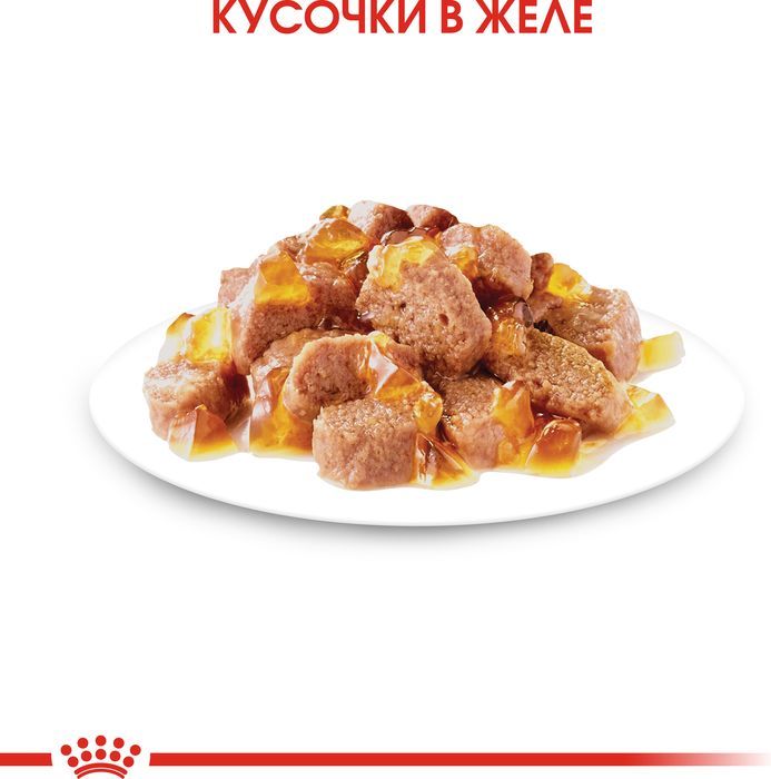 Royal Canin влажный корм для взрослых кошек, здоровье МКБ и контроль веса, в желе  