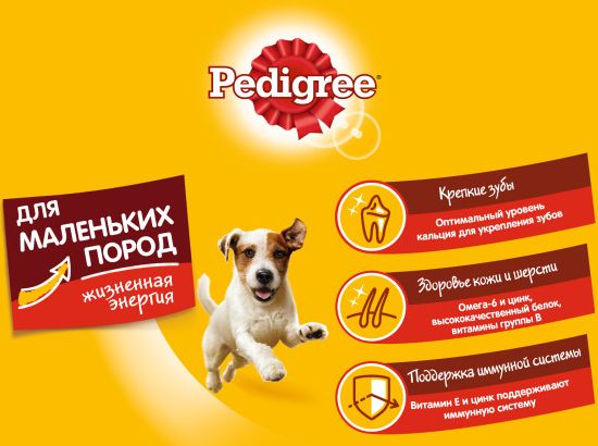 Pedigree набор сухого корма для маленьких пород собак и влажных кормов для взрослых собак с говядиной
