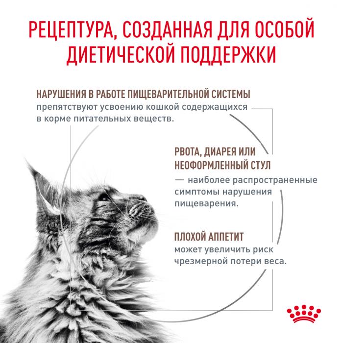 Royal Canin Gastro Intestinal лечебный сухой корм для кошек при нарушениях пищеварения