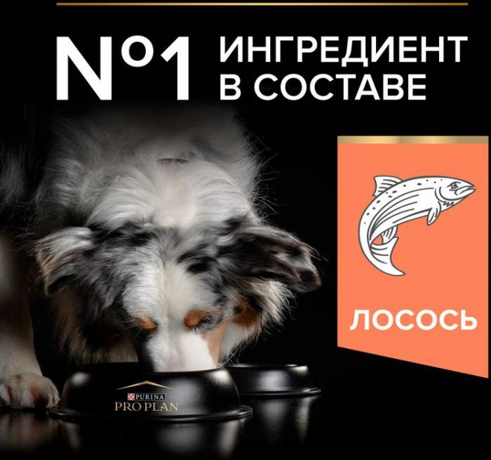 Сухой корм Pro Plan® Sensitive Skin для собак старше 7 лет средних пород с чувствительной кожей, с высоким содержанием лосося, Пакет