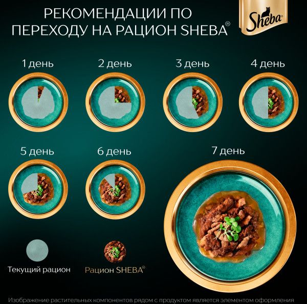 Sheba влажный корм для кошек, с курицей и кроликом в соусе