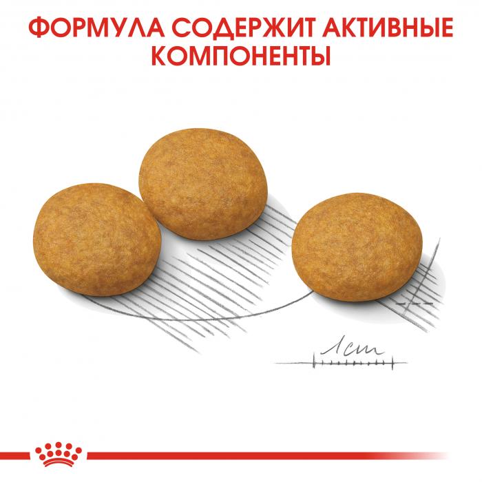 Royal Canin Medium Dermacomfort сухой корм для собак средних пород склонных к раздражениям и зуду