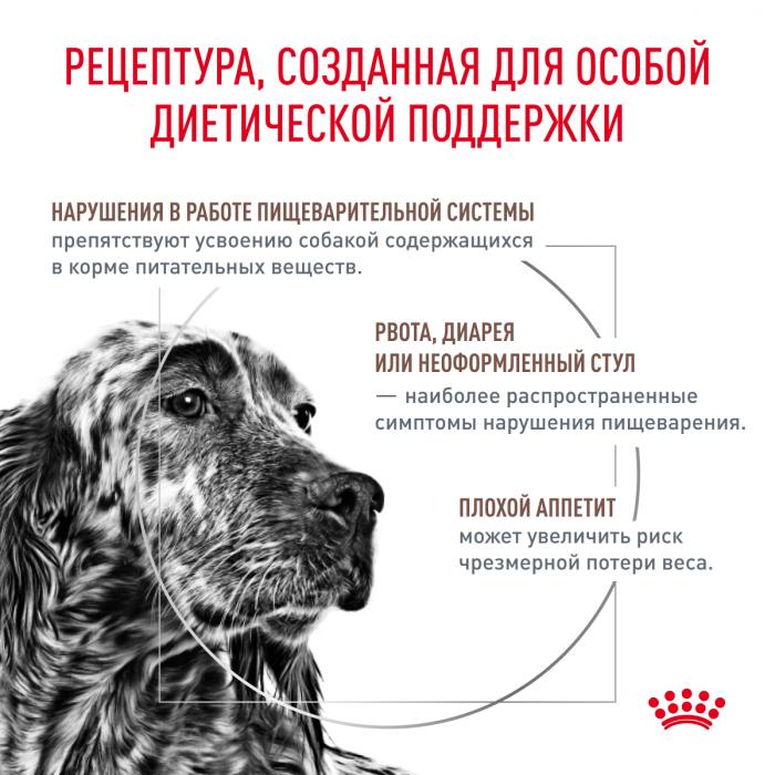 Royal Canin Gastro Intestinal Low Fat лечебный сухой корм для собак с ограниченным содержанием жиров при нарушениях пищеварения