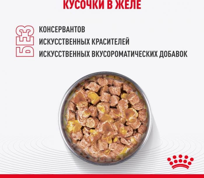 Royal Canin влажный корм для стерилизованных котят, кусочки в желе