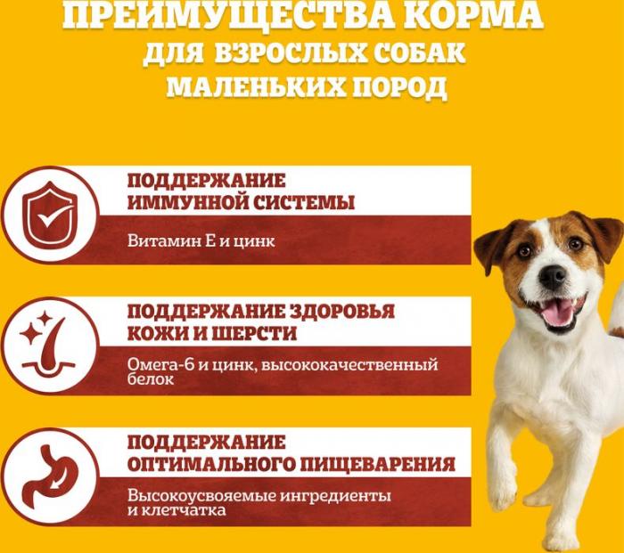 Pedigree сухой корм для собак мелких пород с говядиной