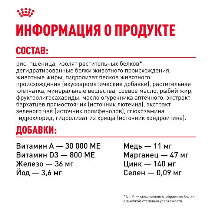 Royal Canin Chihuahua сухой корм для собак породы чихуахуа старше 8 месяцев