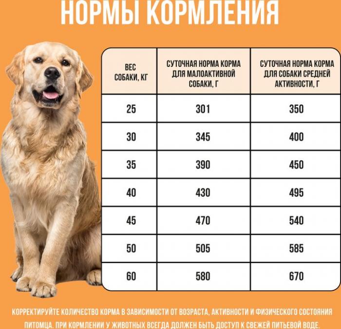 Bowl Wow корм для собак крупных пород, с индейкой, курицей, рисом и добавлением тыквы