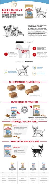 Royal Canin Chihuahua Junior сухой корм для щенков породы чихуахуа от 2 до 8 месяцев