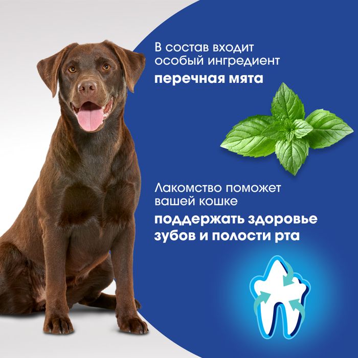 Perfect Fit Oral Care лакомство для собак средних и крупных пород, для поддержания здоровья зубов и полости рта, с говядиной и добавлением мяты