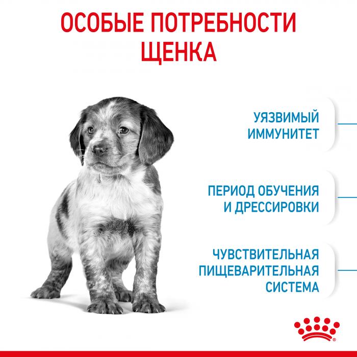 Royal Canin сухой корм для щенков средних пород