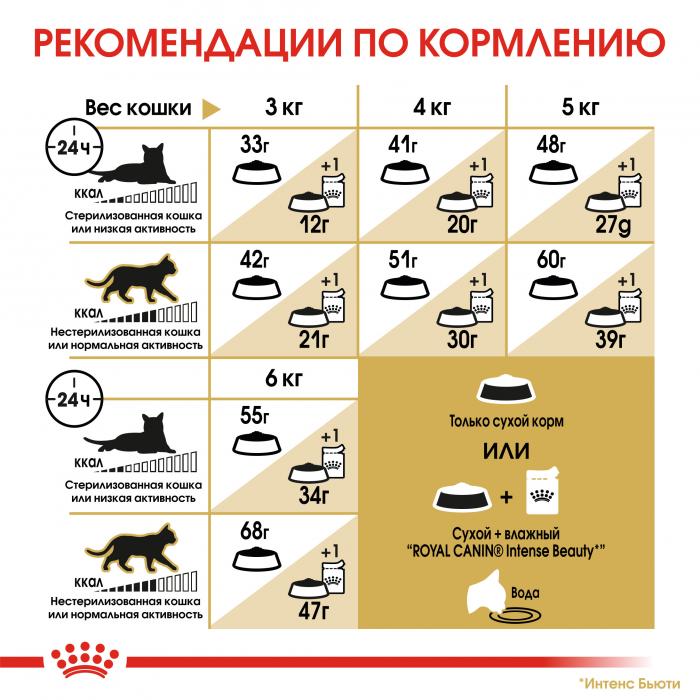 Royal Canin Siamese Adult сухой корм для сиамских кошек