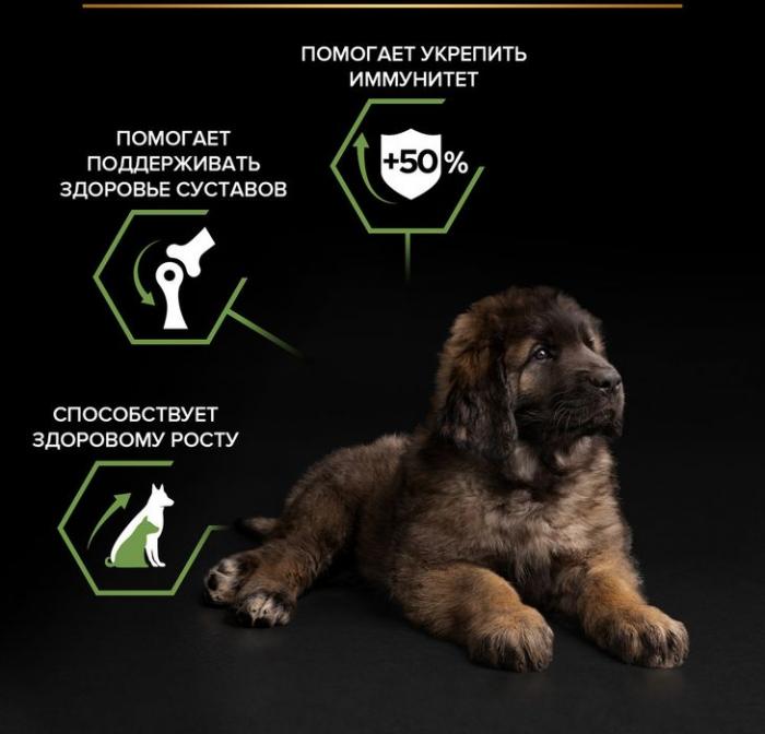 Сухой корм Pro Plan® Healthy Start для щенков крупных пород с мощным телосложением, с высоким содержанием курицы